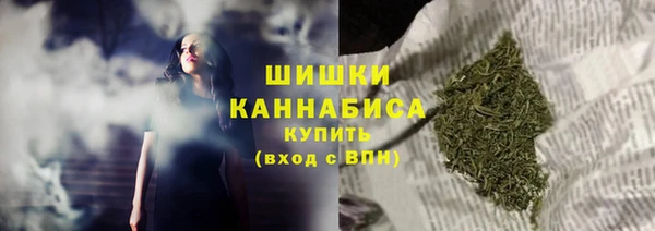 крисы Горнозаводск